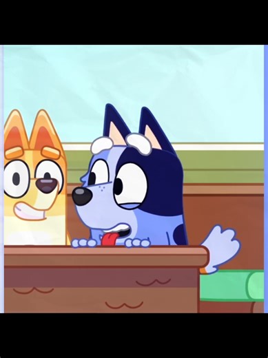 Adorable Bluey Socks Edit You Can't Miss