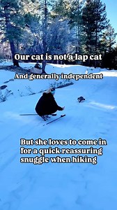 Its one of the rare situations when she walks up for snuggles and we treasure every moment! We are so glad that we are her safe space when our adventuring! #cat #hiking | Best Adventure Cat