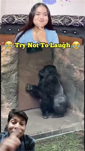 Aaj ke baad nhi piyuga shrab 😂😂 #funny #comedy #trolllife #reactions #funnymemes #trending