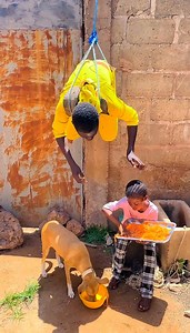 4M views · 10K reactions | THE HOUSE MOUSE | MISTER BEST | Facebook