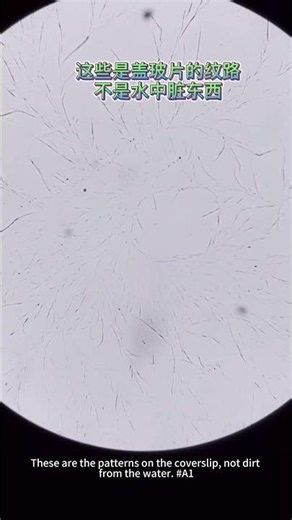 #microscope #magnification