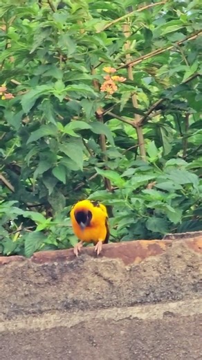 Watch This Tiny Spot Turn Clear! 😳 | Ultimate Zoom Challenge