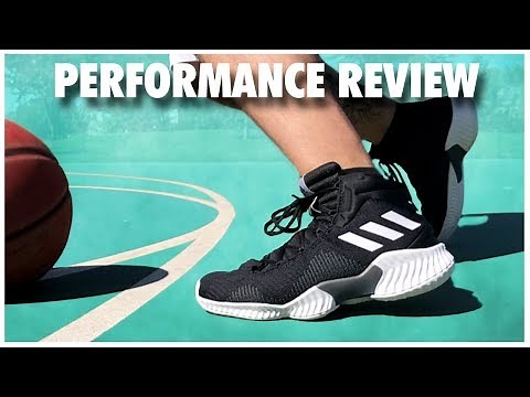 adidas Pro Bounce Performance Review