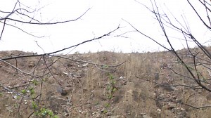 Camden community needs immediate action on illegal dumping | Video | NJ Spotlight News