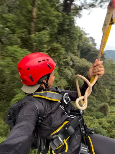 Fly above the rainforest and feel Rwanda from a whole new perspective. The zipline experience in Nyungwe National Park takes you soaring over the treetops, surrounded by endless forest views and the sounds of nature below. An adventure of height, speed, and unforgettable views. 📲 Book your adventure with Trips Rwanda: 250796500792 #NyungweNationalPark #ZiplineRwanda #VisitRwanda #AdventureRwanda #ExploreRwanda #TripsRwanda #RainforestAdventure #TravelRwanda #Travel #traveltiktok #fyp#fyp #trave