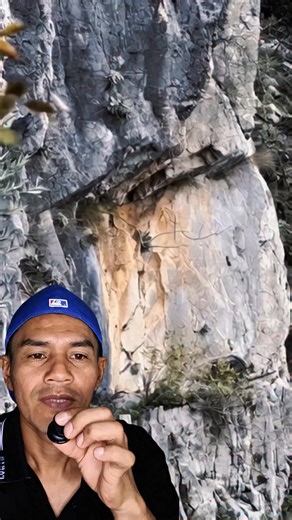 Antigua tumba con oro 😱 #reels #reelsvideoシ #tumba #oro | Julio César Bonilla