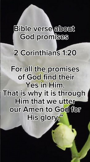 bible verse about God promises #biblestudy #biblia #bibleverse