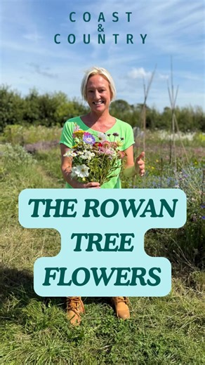 Join Ruth as she steps into the colourful and vibrant world of The Rowan Tree… #coastandcountry #itv #itvwales #itvcymruwales #wales #nature #outdoors #flowers #gower | ITV Coast & Country