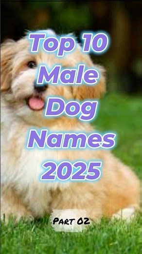 Top 10 Male Dog Names 2025 (Part 2) 🐾✨ Unique Name Ideas for Your Pup! #dognames #petnames #shorts