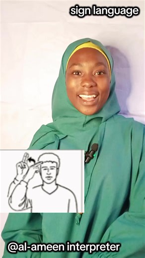 Understanding Sign Language Through ASL Insights