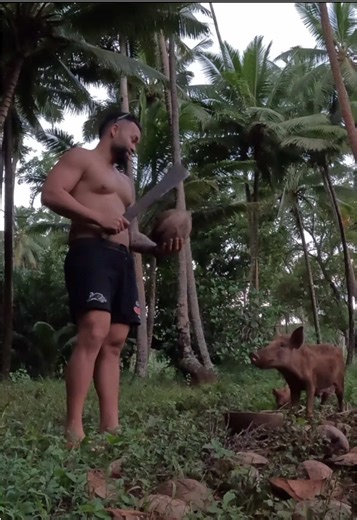 Exploring Mauke, Cook Islands: A Hidden Paradise