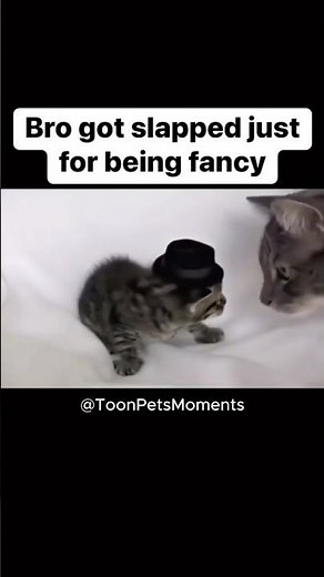 Mommy Cat Slaps Kitten for Wearing Fancy Hat 😹 | Cute Cartoon Twist at the End!