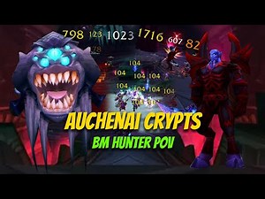 BM HUNTER POV | Auchenai Crypts Dungeon Run (TBC Classic)
