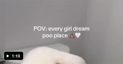 How women use the toilet - Video