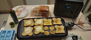 I Cooked A Meal With The AlphaESS 1000W Power Station