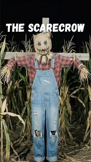 Never walk through a corn maze at night 🌽 | THE SCARECROW | #scarecrow #halloween #jumpscare