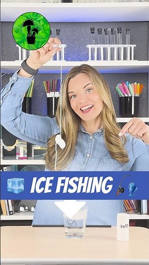 Ice Fishing Science Activity 🎣 #diy #science