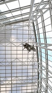 Celebrating National Skyscraper Day with a peek inside the stunning interiors of the FNBO Tower! At 634 feet tall with 45 stories, the FNBO Tower is the tallest in the Midwest between Denver and Chicago. #NationalSkyscraperDay #FNBOTower | FNBO