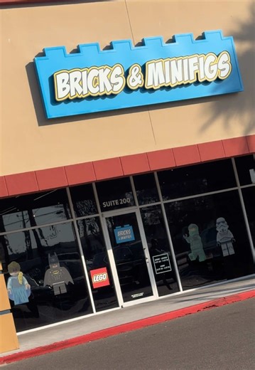 Oliver & Ezra Explore Bricks & Minifigs in McAllen, TX