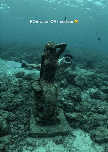 Freediving Adventures in Moalboal, Cebu