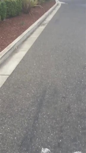 Crazy Driver at Hotel