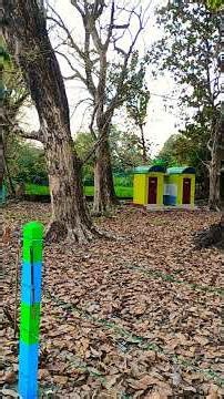 Short video #nature #foryou #travel #following #Moner manush #cinema shooting place