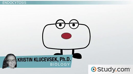 You must c C reate an account to continue watching