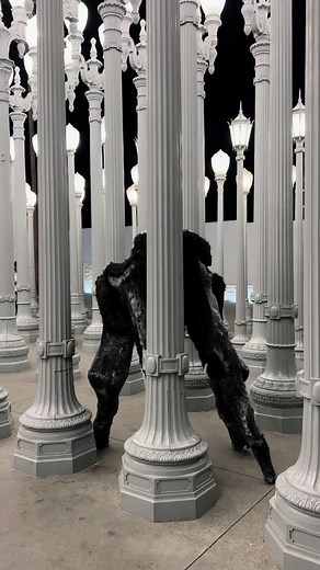 Ignite Your Heart with Wraithwalker: Luke Adams Walker