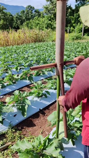 Modern Agriculture Technology in Nepal: Insights and Innovations