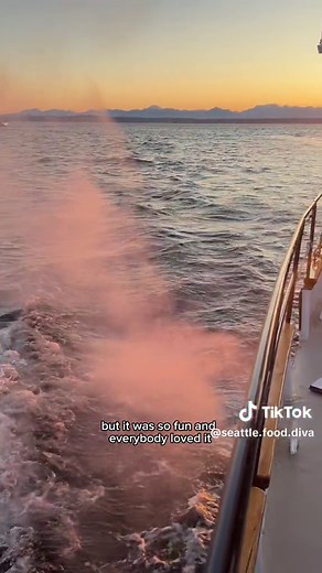 This is the perfect summer activity ☀️ take a sunset sail on Seattle’s Tall Ship! You sail for 2 hours with endless beautiful views 😍 tickets were $65 each and we got them off the @feverup app. We definitely thought it was worth it for the experience and you can get tix using the link in my bio! #FeverAmbassador #seattletiktok #seattlelife #sunsetsail #summer2024 #thingstodoinseattle