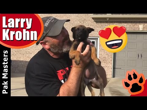 Training a 7 week old puppy - FIRST DAY