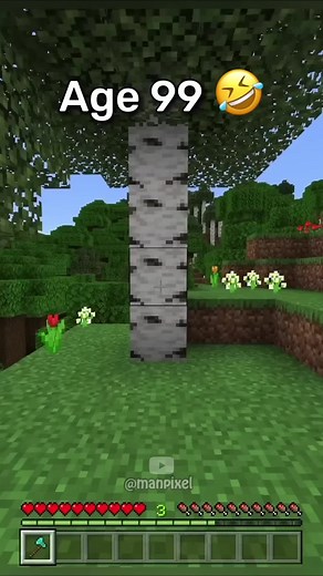 Mastering Minecraft Trap Escapes: A Guide for All Ages