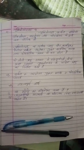 ❣️🌸🦁🦁🦁🦁