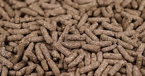 combined food for rodent pets, combined healthy food for rodent breeding