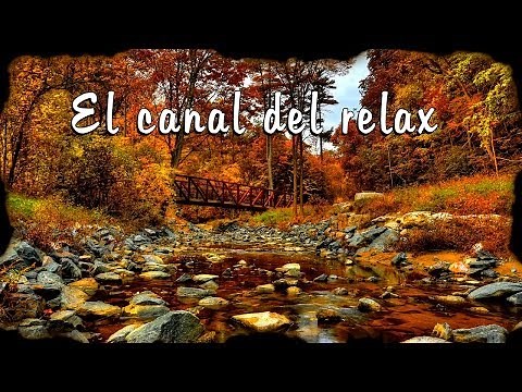 LA MEJOR MUSICA RELAJANTE, THE BEST RELAXING MUSIC. 🎧