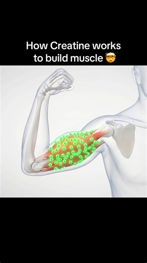 How Creatine Works to Build Muscle Effectively