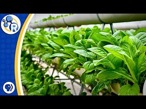 Vertical Farming