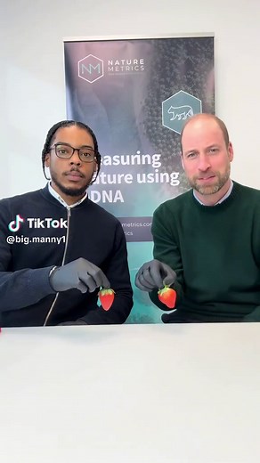 Extracting DNA from Strawberries: A Fun Science Experiment