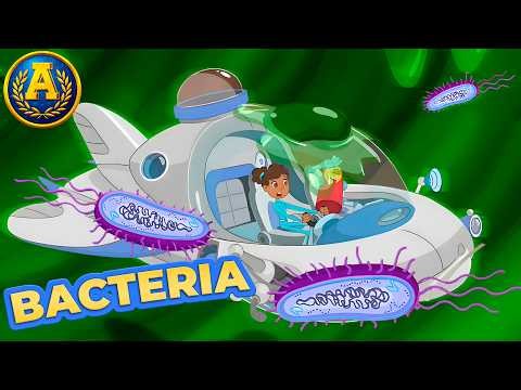 Escape From Fred: Bacteria | Adventure Academy