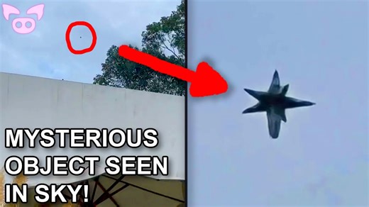 This Terrifying Footage Will Make You Cringe! | Slapped Ham