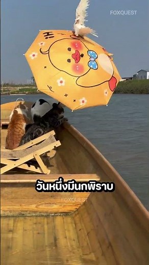 These cats love to go fishing with their owners. 🎣🐱