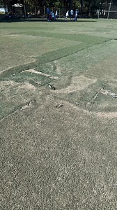 “Cañahueca se cae a pedazos: Betanzos cobra, Ángel Torres presume… pero nadie mantiene nada” Mientras el Ayuntamiento de Tuxtla Gutiérrez presume a Cañahueca como uno de los principales espacios deportivos de la ciudad, la realidad en las canchas es otra: abandono, deterioro y nulo mantenimiento. A pesar de las cuotas que se cobran y de todo lo que ingresa a estas instalaciones, la cancha de fútbol y varias canchas más están en condiciones deplorables. Bajo la responsabilidad del director del In