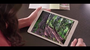 74K views · 112 reactions | Nos dernières forêts vierges sont en danger. C'est pourquoi nous soutenons le WWF qui oeuvre à la sauvegarde de ces dernières forêts. Et vous pouvez nous aider! Regardez notre vidéo et partagez-la avec tous vos amis et surtout - achetez du Weleda - car pour chaque produit vendu, nous reversons 1 euro au WWF. Merci pour votre soutien! En savoir plus? Rendez-vous sur weleda.be/foret-vierge. | Weleda | Facebook
