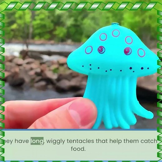 Squid Fun Fact! 🦑 They Are Very Smart!