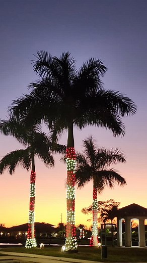 Ingrid VM on Reels | Facebook