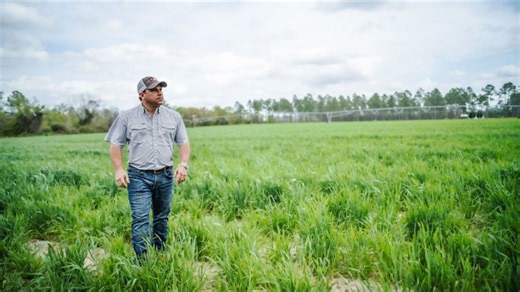 Hurricane Helene block grant program application now open