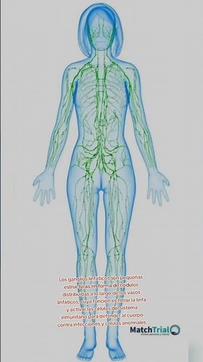 lymph nodes