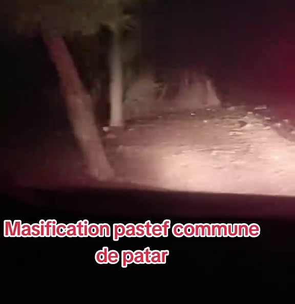 Vidéos de Domou soncko (@bayoudiouma4) avec son original - DofouPastef