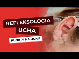 Refleksologia Ucha a Masaż Uszu. Jakie Są Rodzaje Masażu? Jakie Są Punkty Na Uchu? Zaplanuj Zabieg.