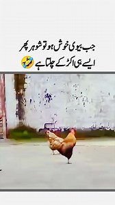 6.5M views · 65K reactions | Jab BV Khush Ho To朗藍|Funny Video | Urdu Quotes | Married Life Funny Aqwal | Heart touching # | Offer Inside | Facebook